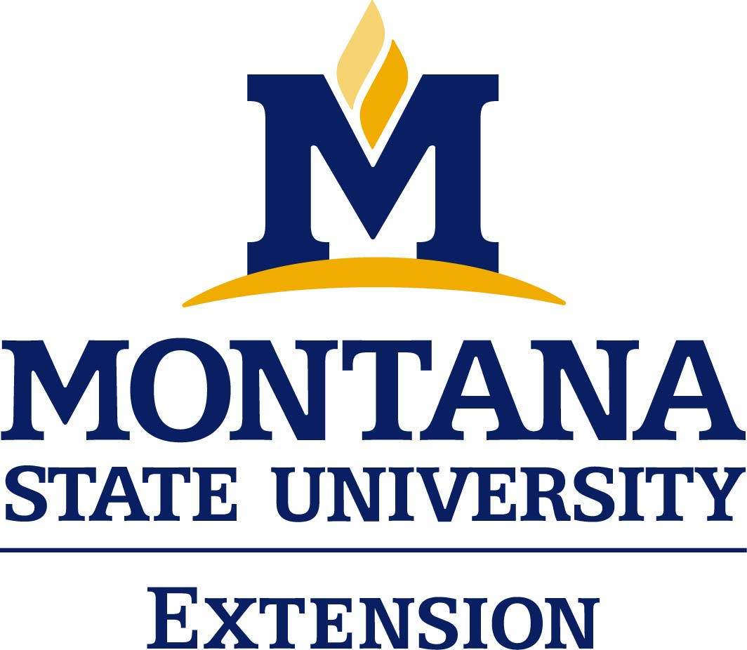 extension-logo